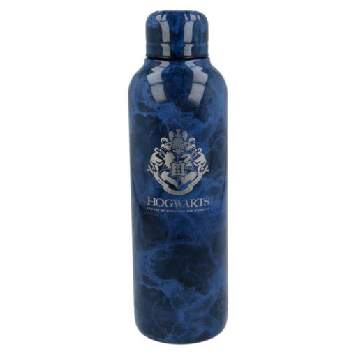 Picture of HARRY POTTER STAINLESS STEEL BOTTLE 515ML